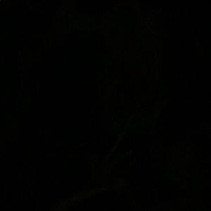 Meet your Posher, Tyra